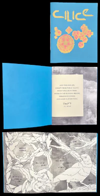 a blue book with an illustration of a bird and a bird